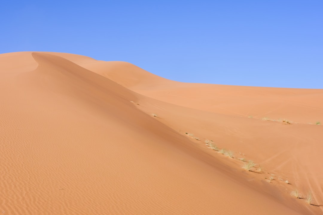 Children enjoying sandboarding in Dubai desert
