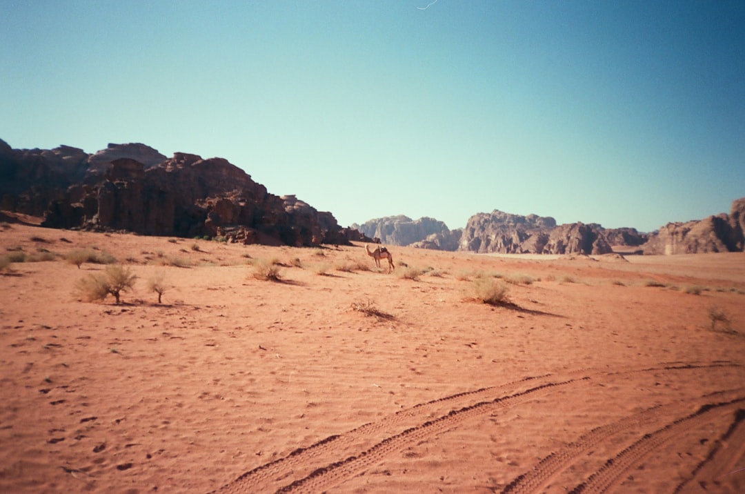 Group of quad bikers in Dubai desert