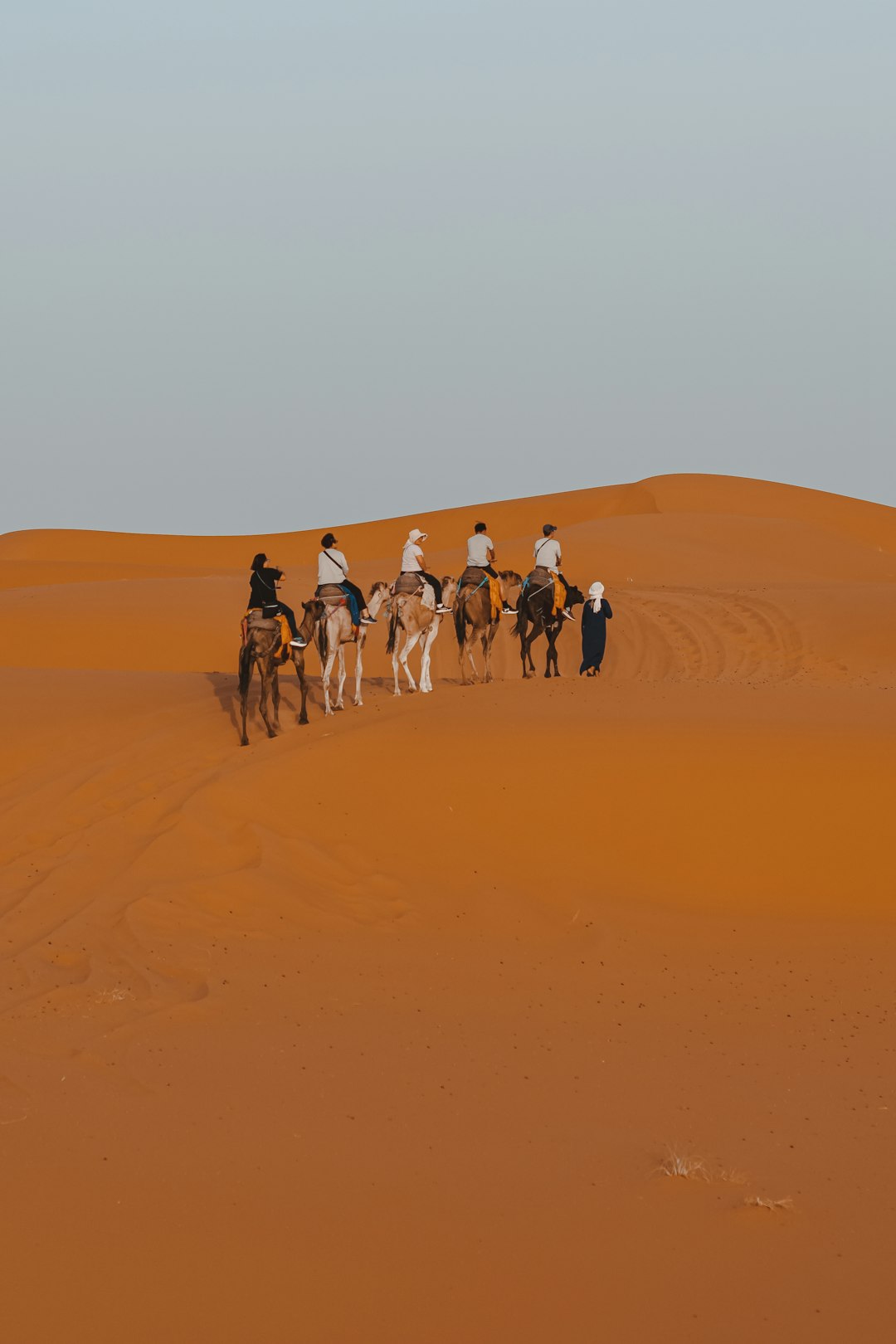 Budget Desert Safari in Dubai