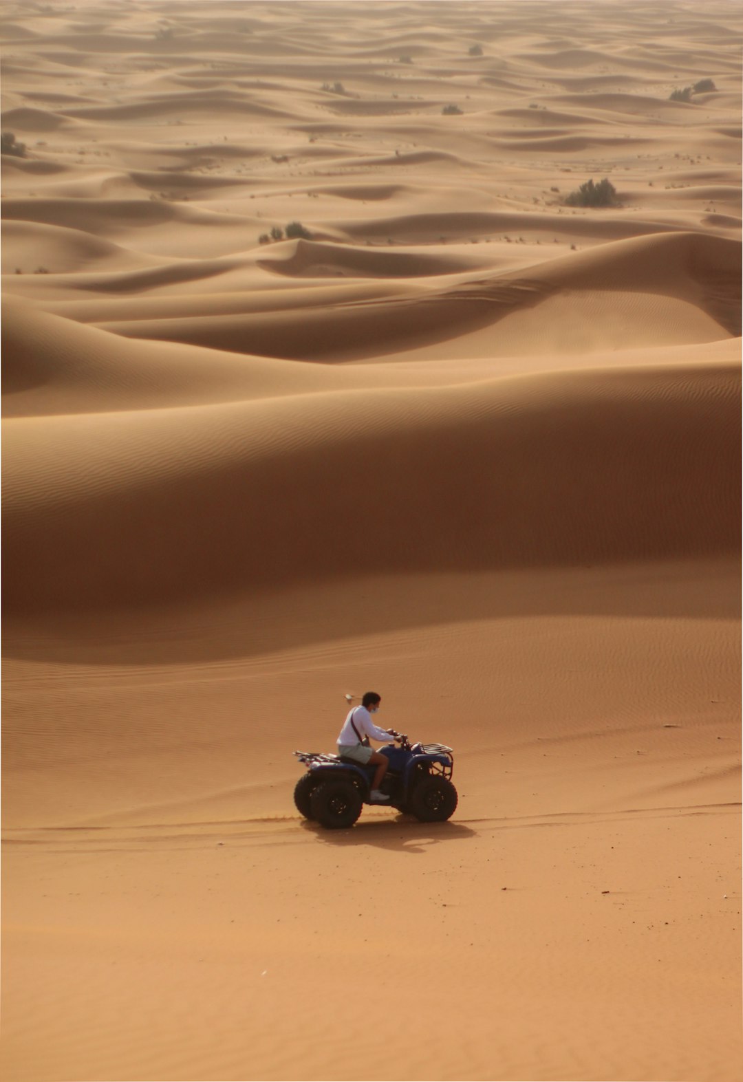Quad Biking in Dubai Desert